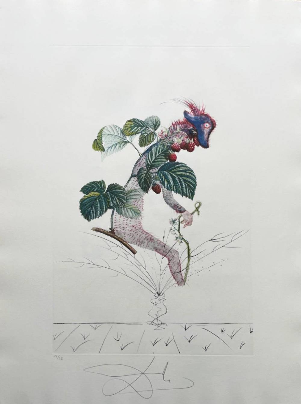 Salvador Dali - Framboisier (Raspberry Bush), 1969