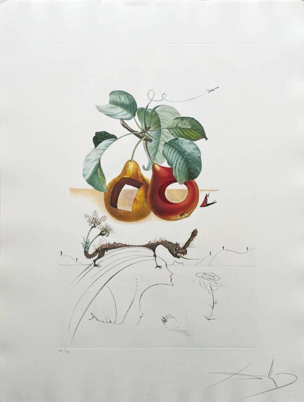 Salvador Dali - Holed Fruit from Flordali suite, 1969