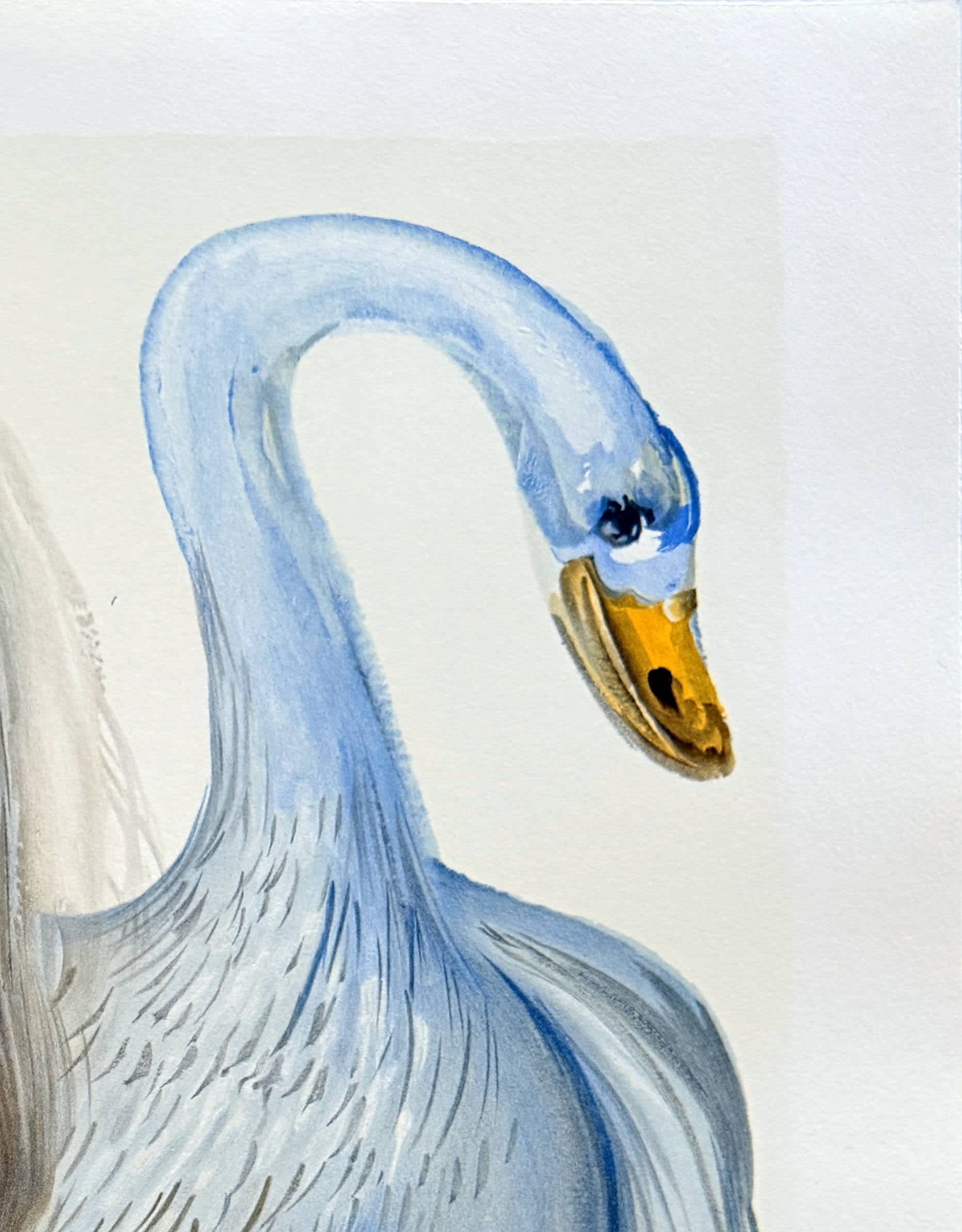 Salvador Dali - Le Chimère d'Horace (Horace's chimera), 1970 - Image 3