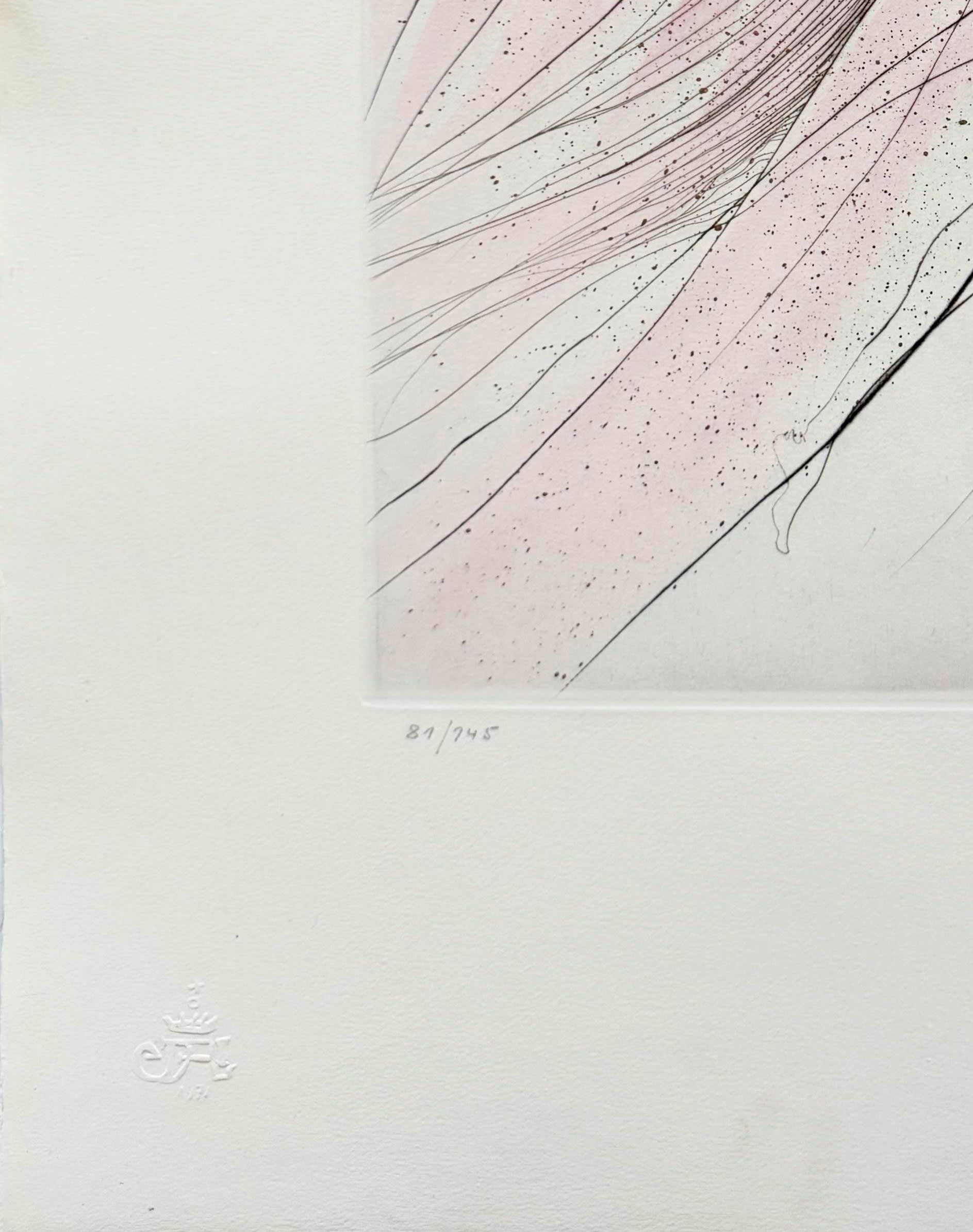 Salvador Dali - Terpsichore, 1971 - Image 5