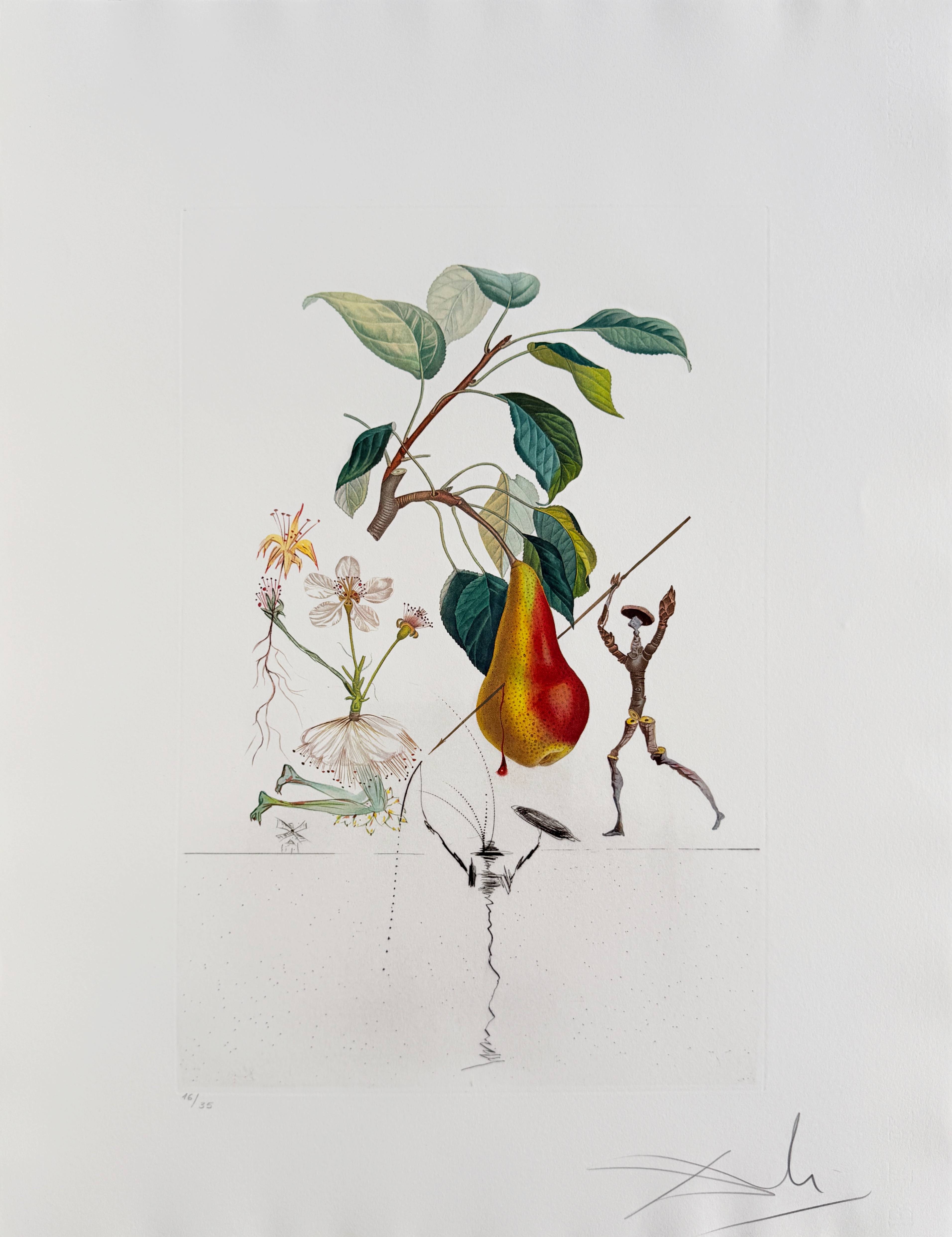 Salvador Dali - Don Quixote Pear from Flordali suite, 1969 1 Salvador Dali - Don Quixote Pear from Flordali suite, 1969
