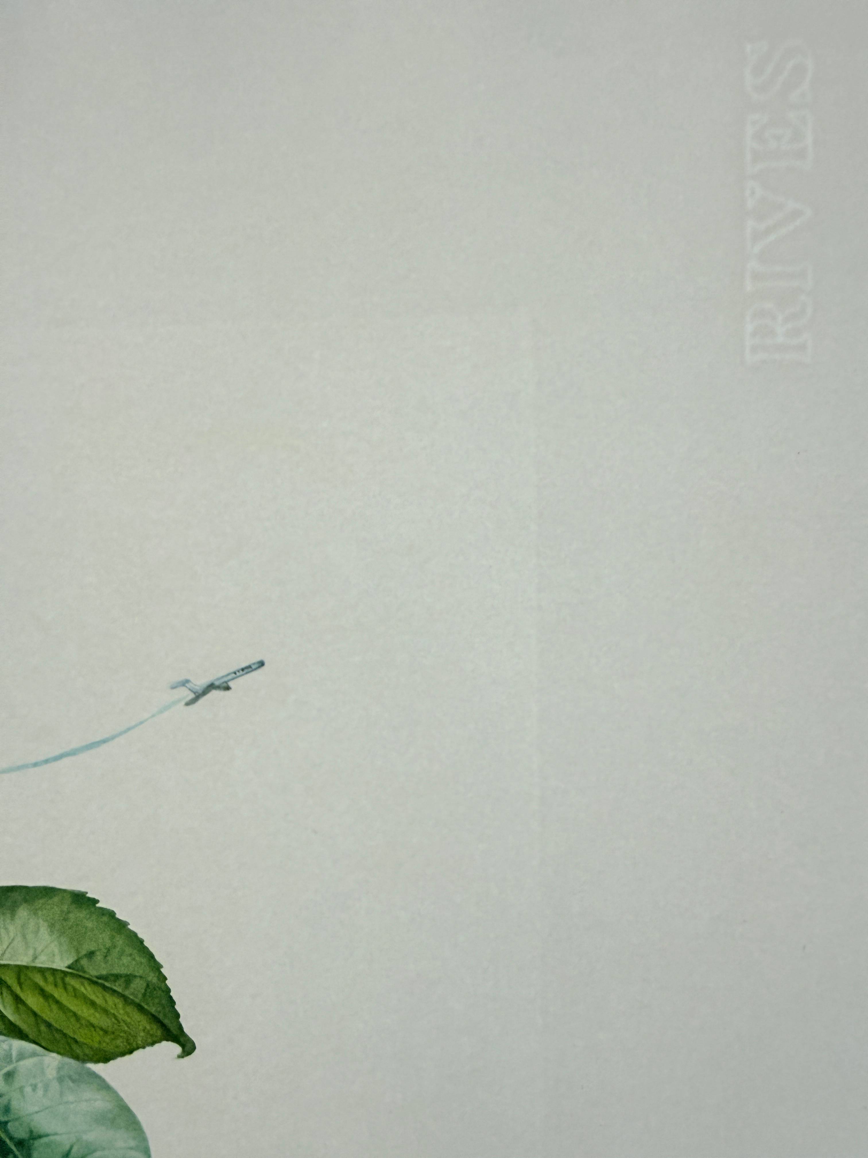 Salvador Dali - Holed Fruit from Flordali suite, 1969 3 Salvador Dali - Holed Fruit from Flordali suite, 1969 - Image 3