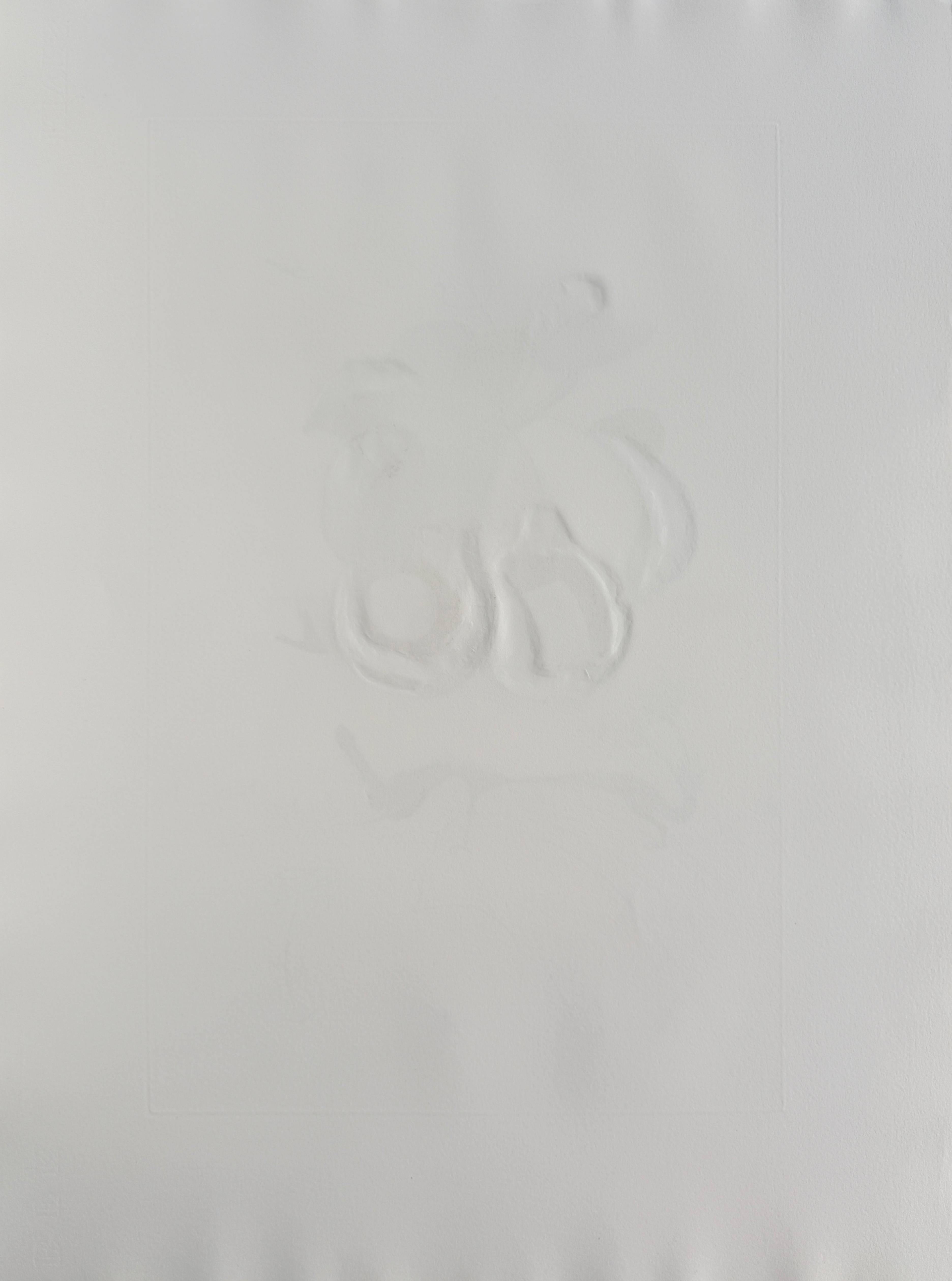 Salvador Dali - Holed Fruit from Flordali suite, 1969 5 Salvador Dali - Holed Fruit from Flordali suite, 1969 - Image 5