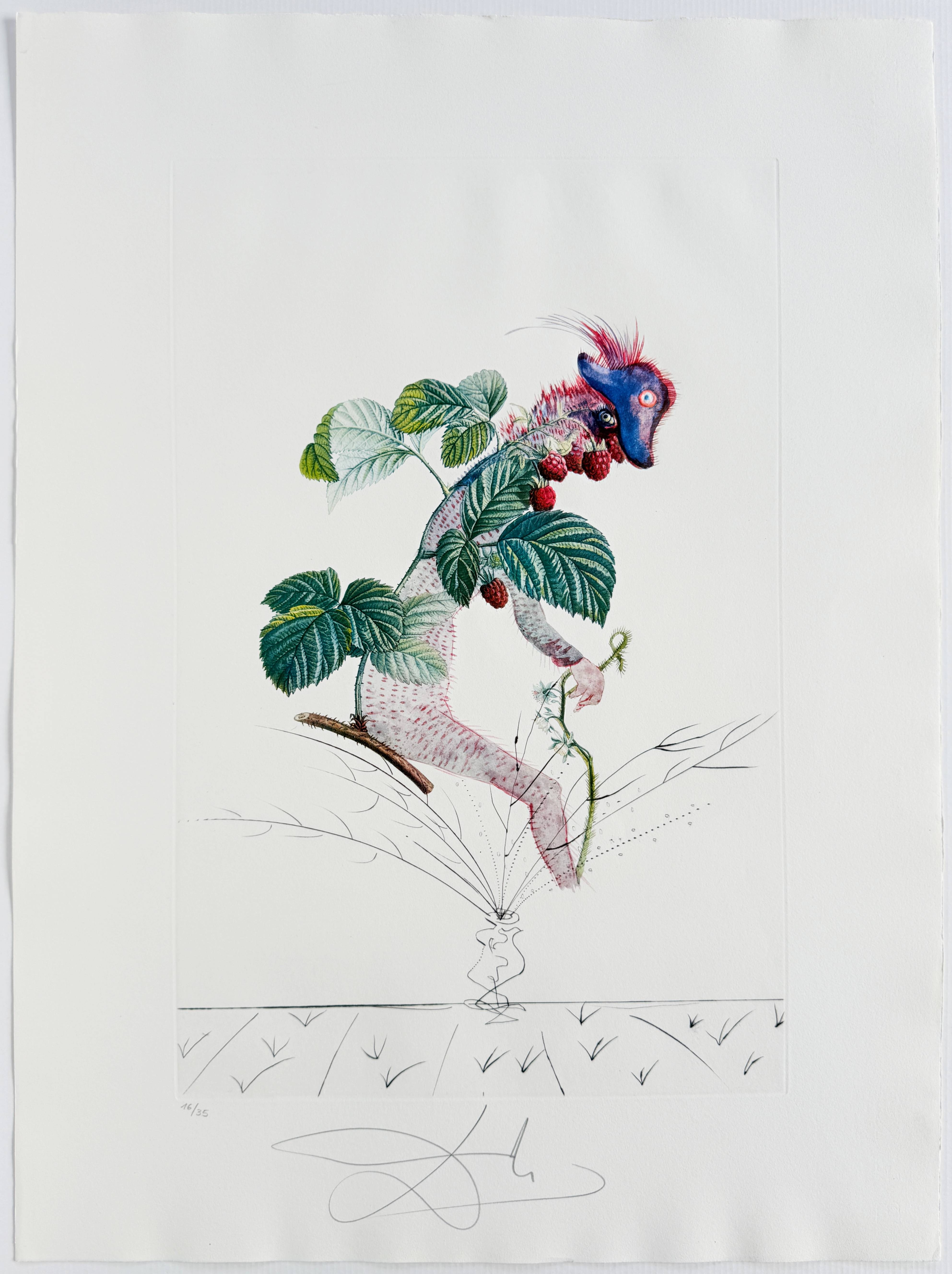 Salvador Dali - Framboisier (Raspberry Bush), 1969 3 Salvador Dali - Framboisier (Raspberry Bush), 1969 - Image 3