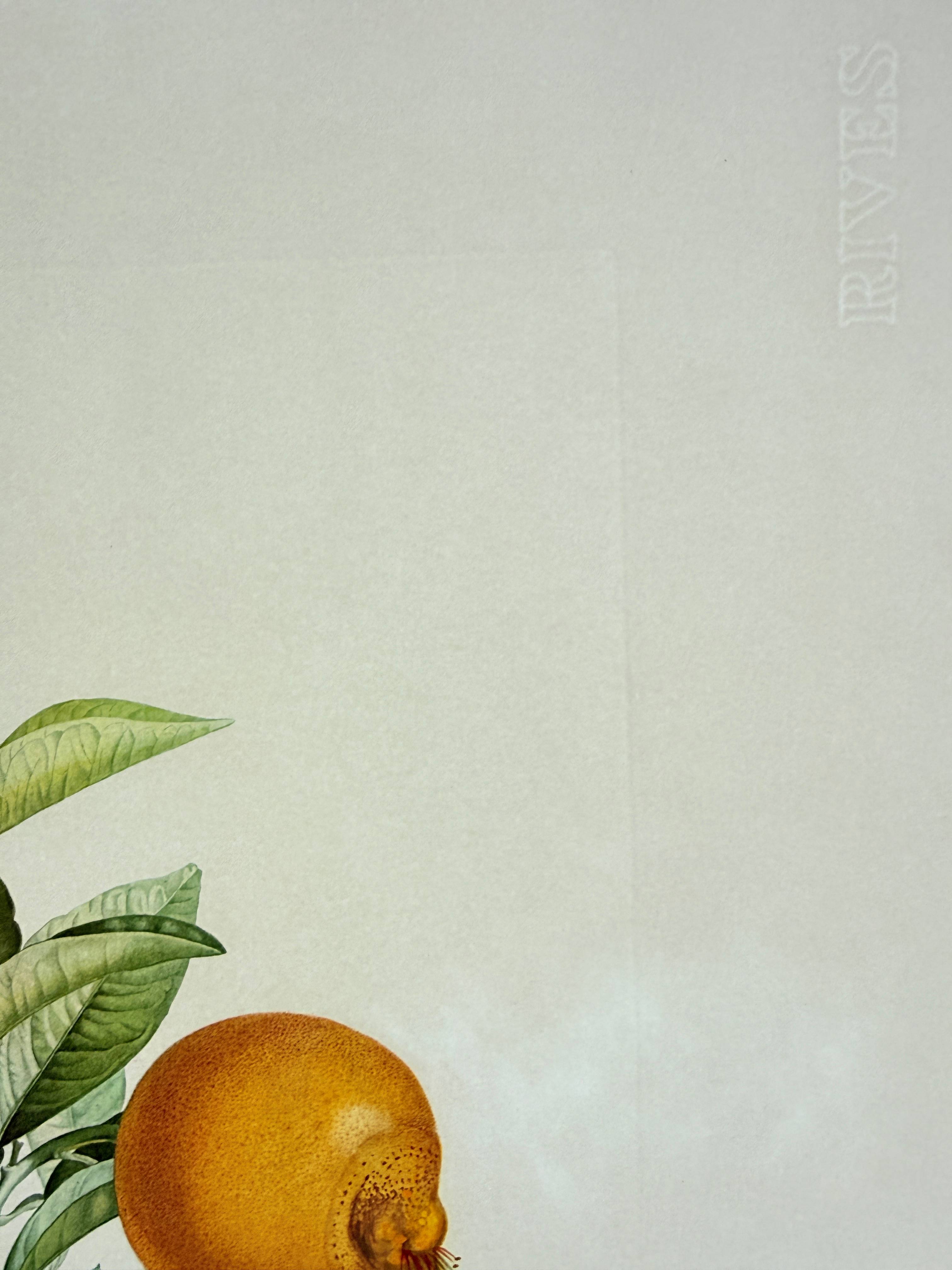 Salvador Dali - Pamplemousse érotique (Erotic Grapefruit), 1969 5 Salvador Dali - Pamplemousse érotique (Erotic Grapefruit), 1969 - Image 5