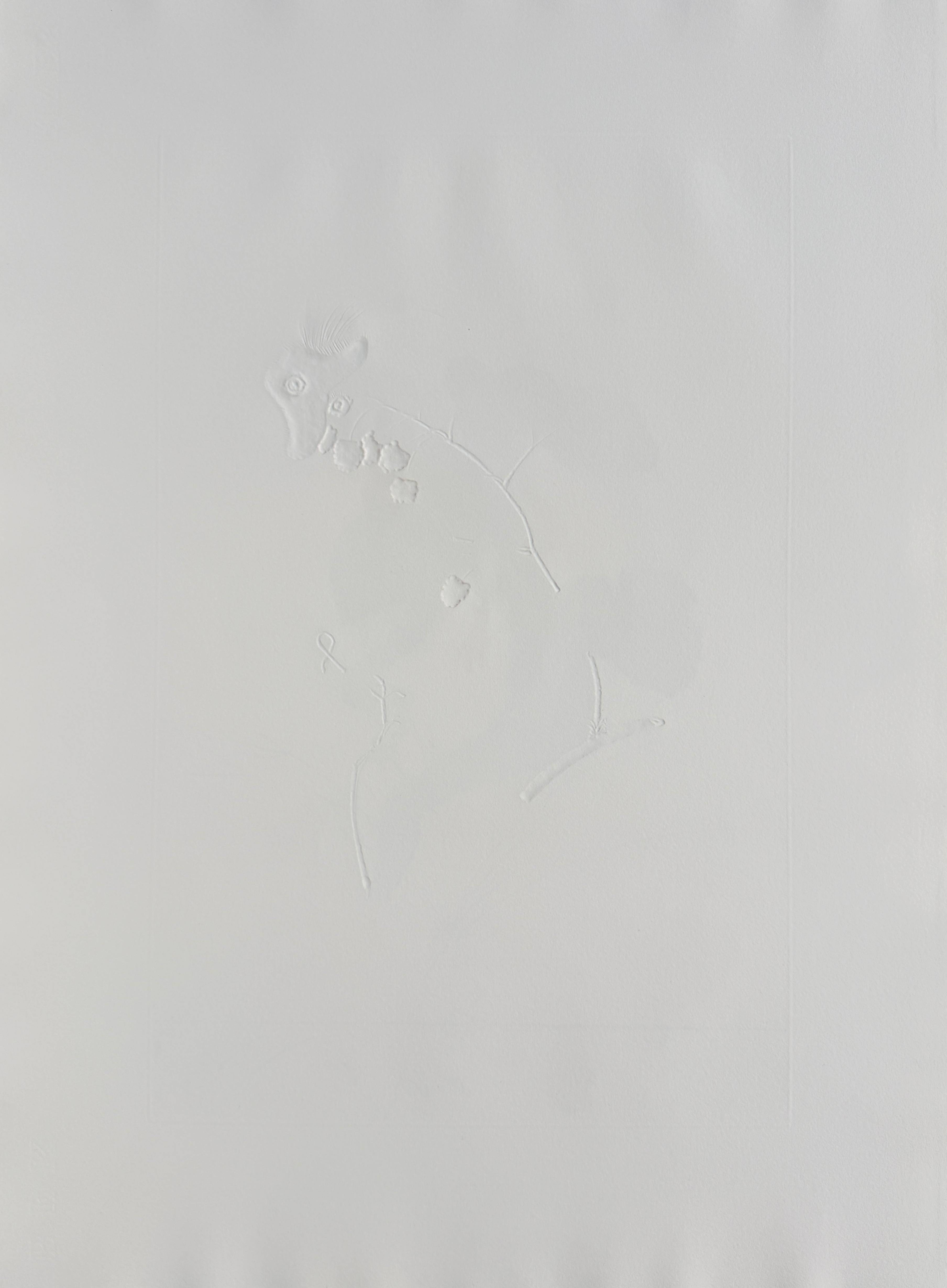 Salvador Dali - Framboisier (Raspberry Bush), 1969 4 Salvador Dali - Framboisier (Raspberry Bush), 1969 - Image 4