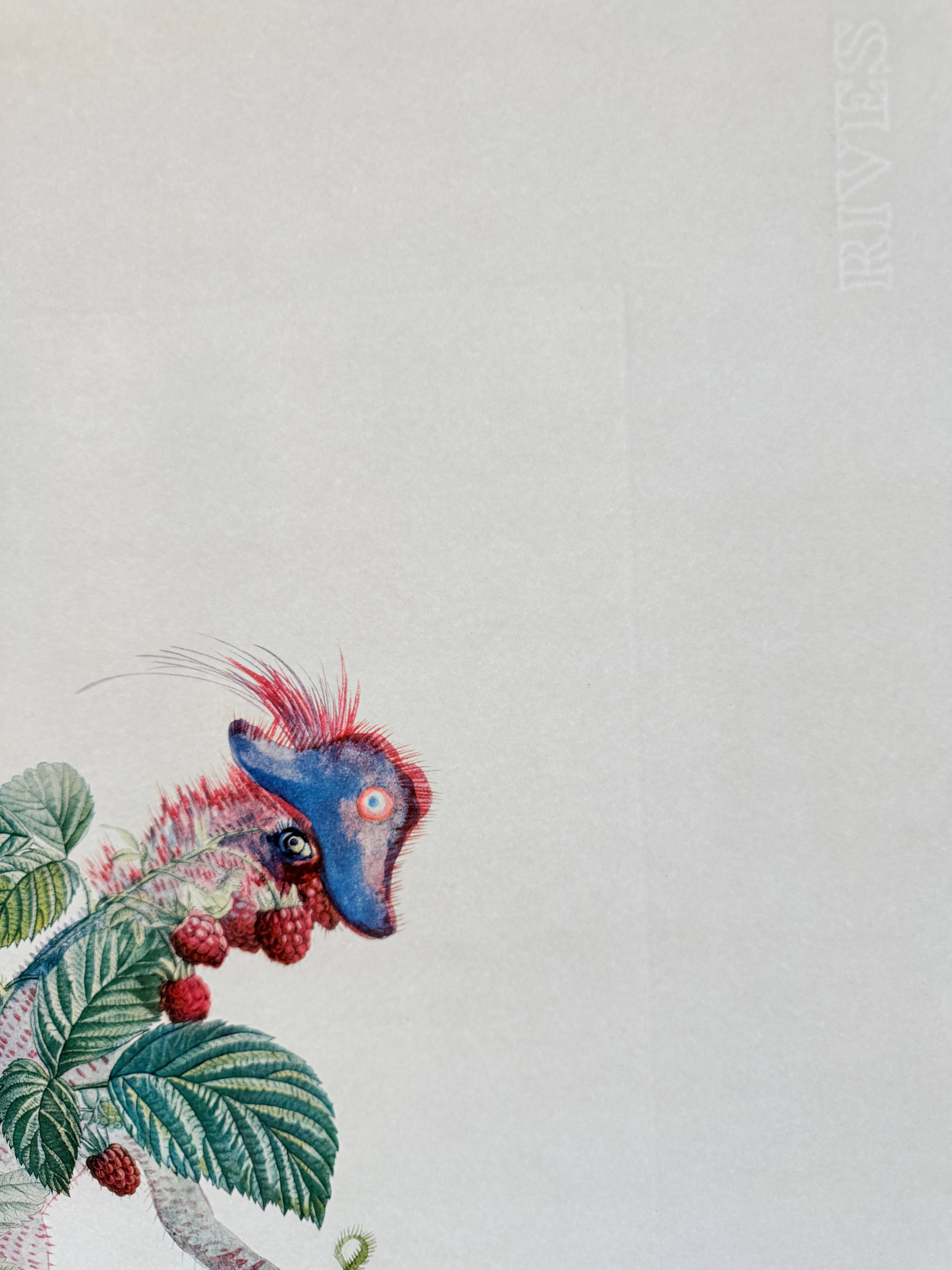 Salvador Dali - Framboisier (Raspberry Bush), 1969 2 Salvador Dali - Framboisier (Raspberry Bush), 1969 - Image 2