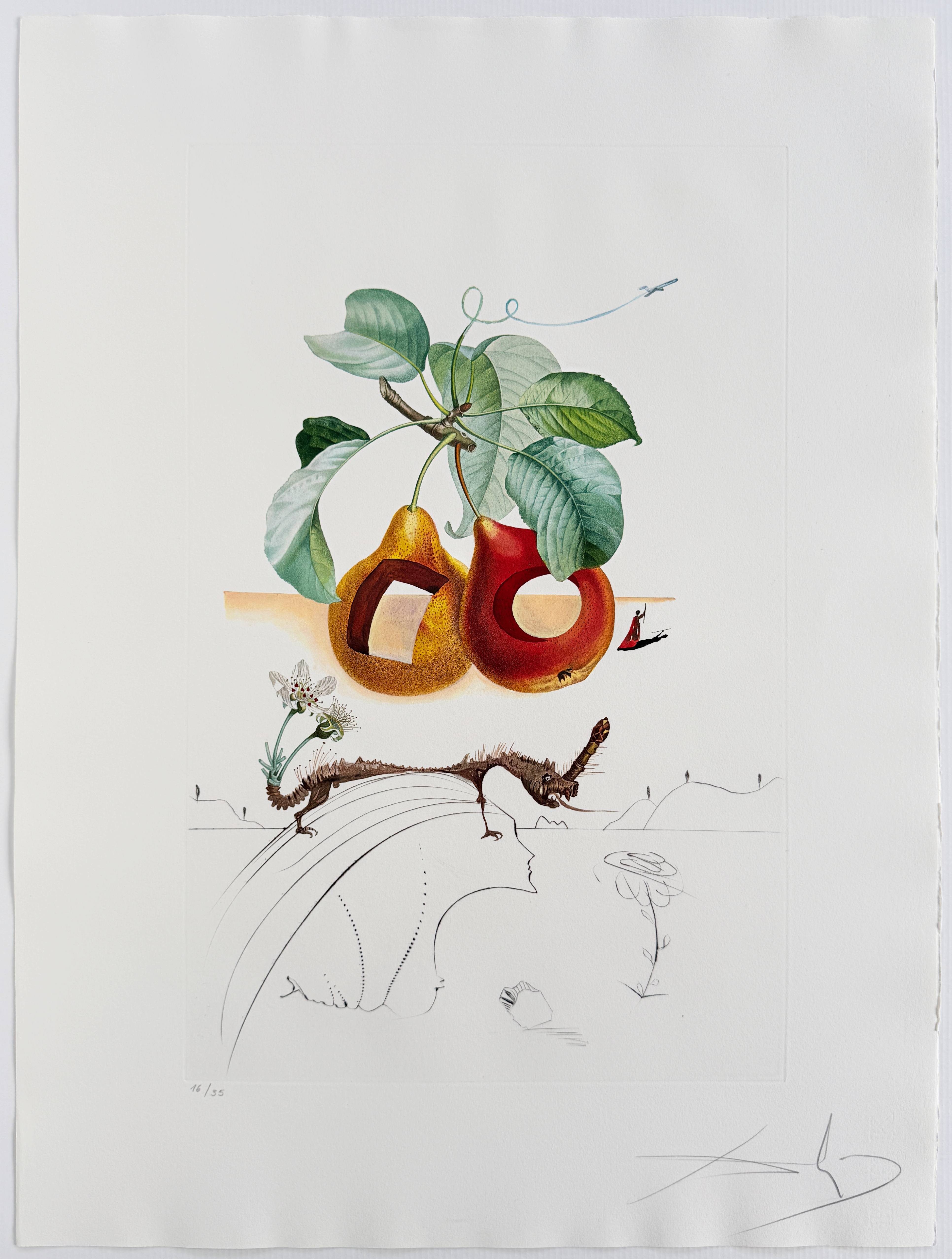 Salvador Dali - Holed Fruit from Flordali suite, 1969 4 Salvador Dali - Holed Fruit from Flordali suite, 1969 - Image 4
