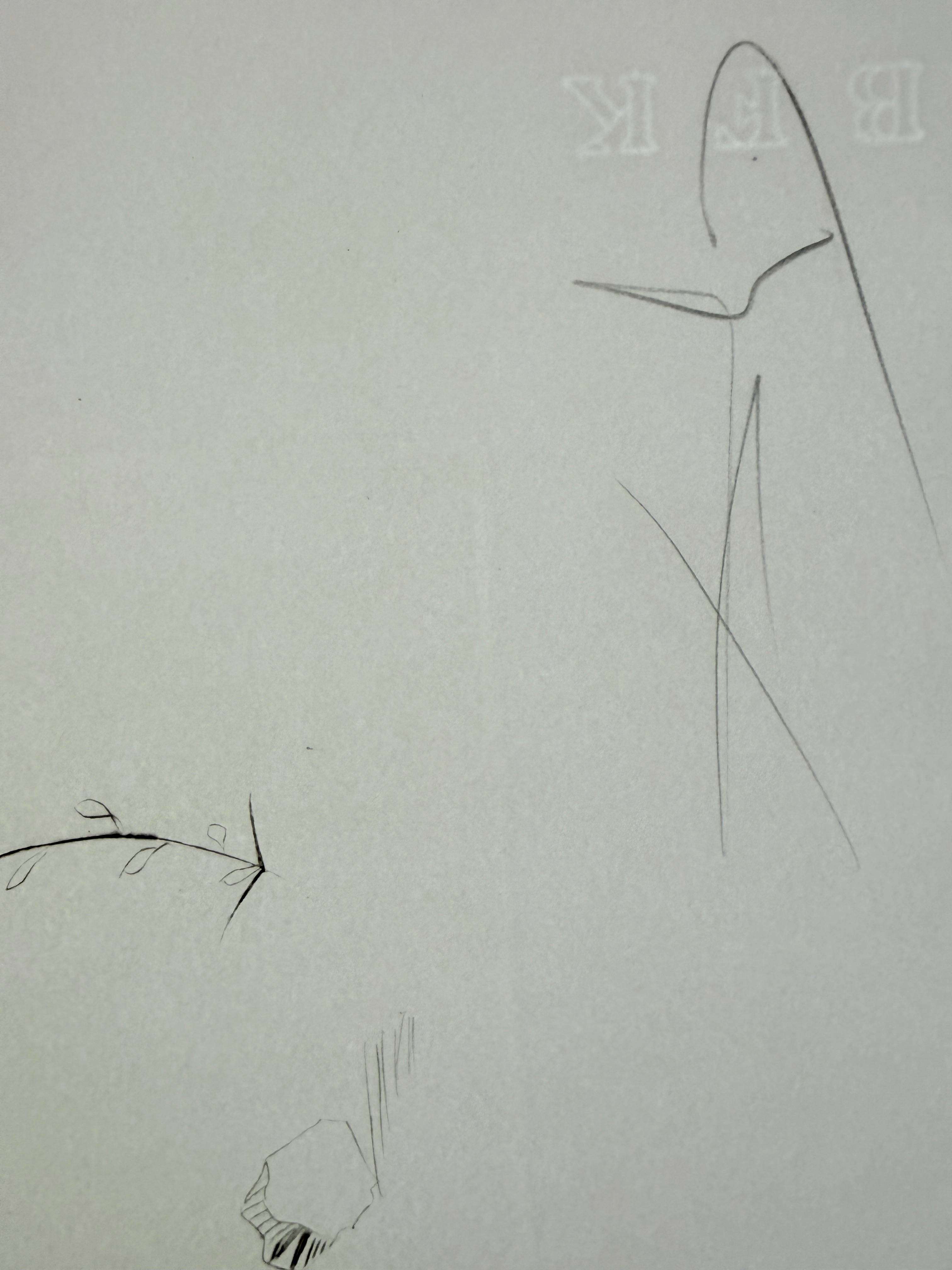 Salvador Dali - Holed Fruit from Flordali suite, 1969 2 Salvador Dali - Holed Fruit from Flordali suite, 1969 - Image 2