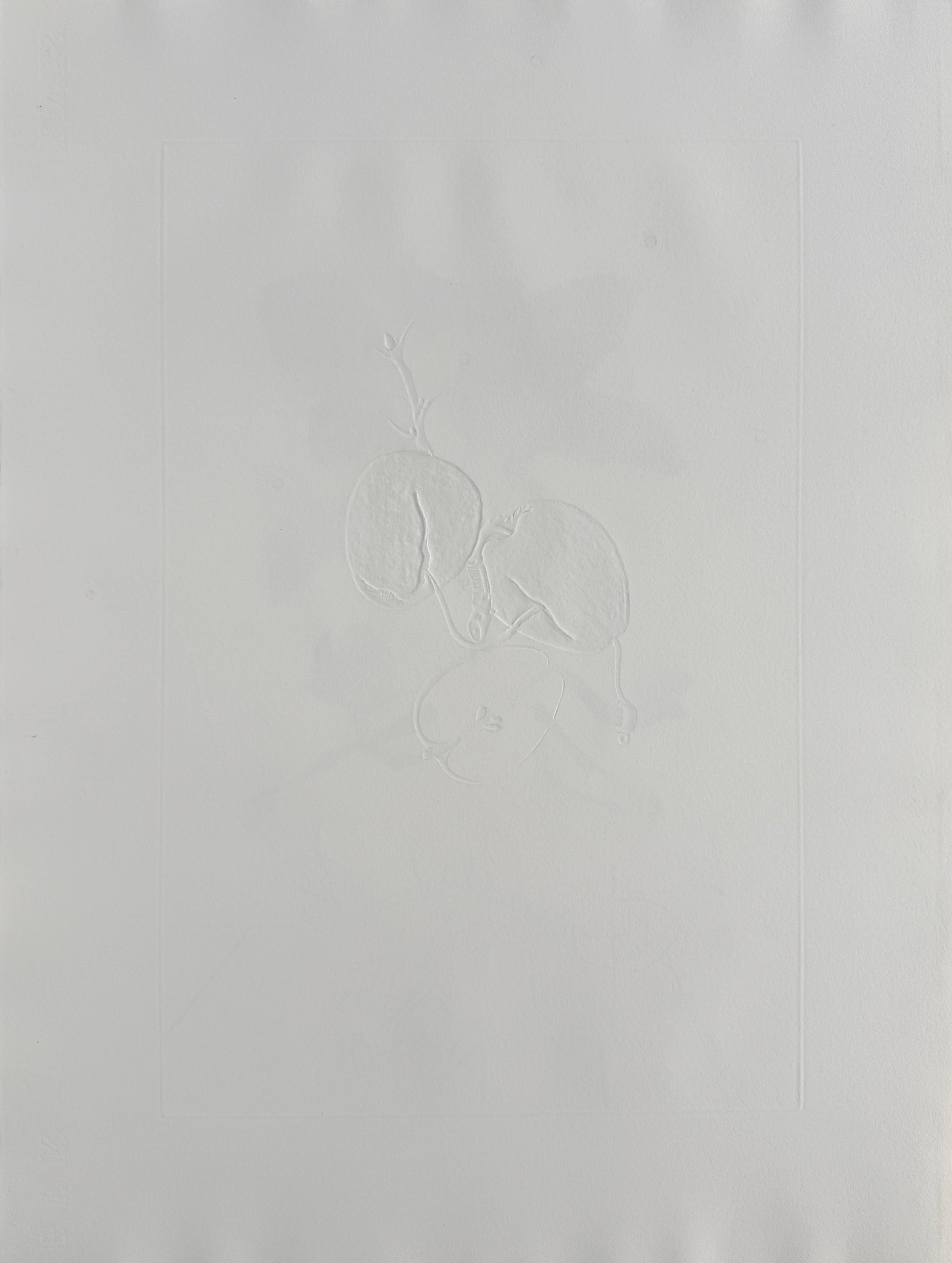 Salvador Dali - Dragon Apple from Flordali suite, 1969 6 Salvador Dali - Dragon Apple from Flordali suite, 1969 - Image 6