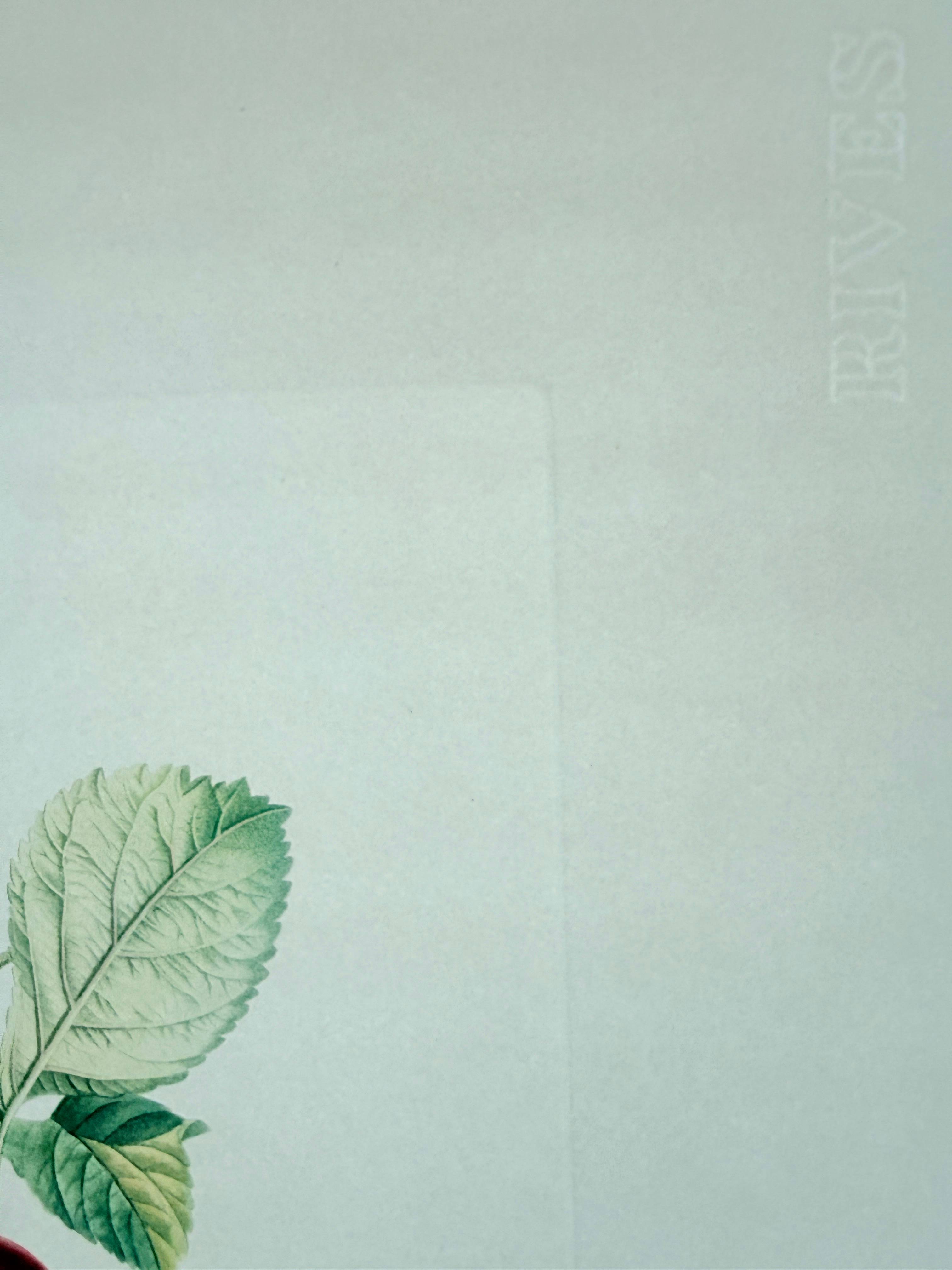 Salvador Dali - Dragon Apple from Flordali suite, 1969 4 Salvador Dali - Dragon Apple from Flordali suite, 1969 - Image 4