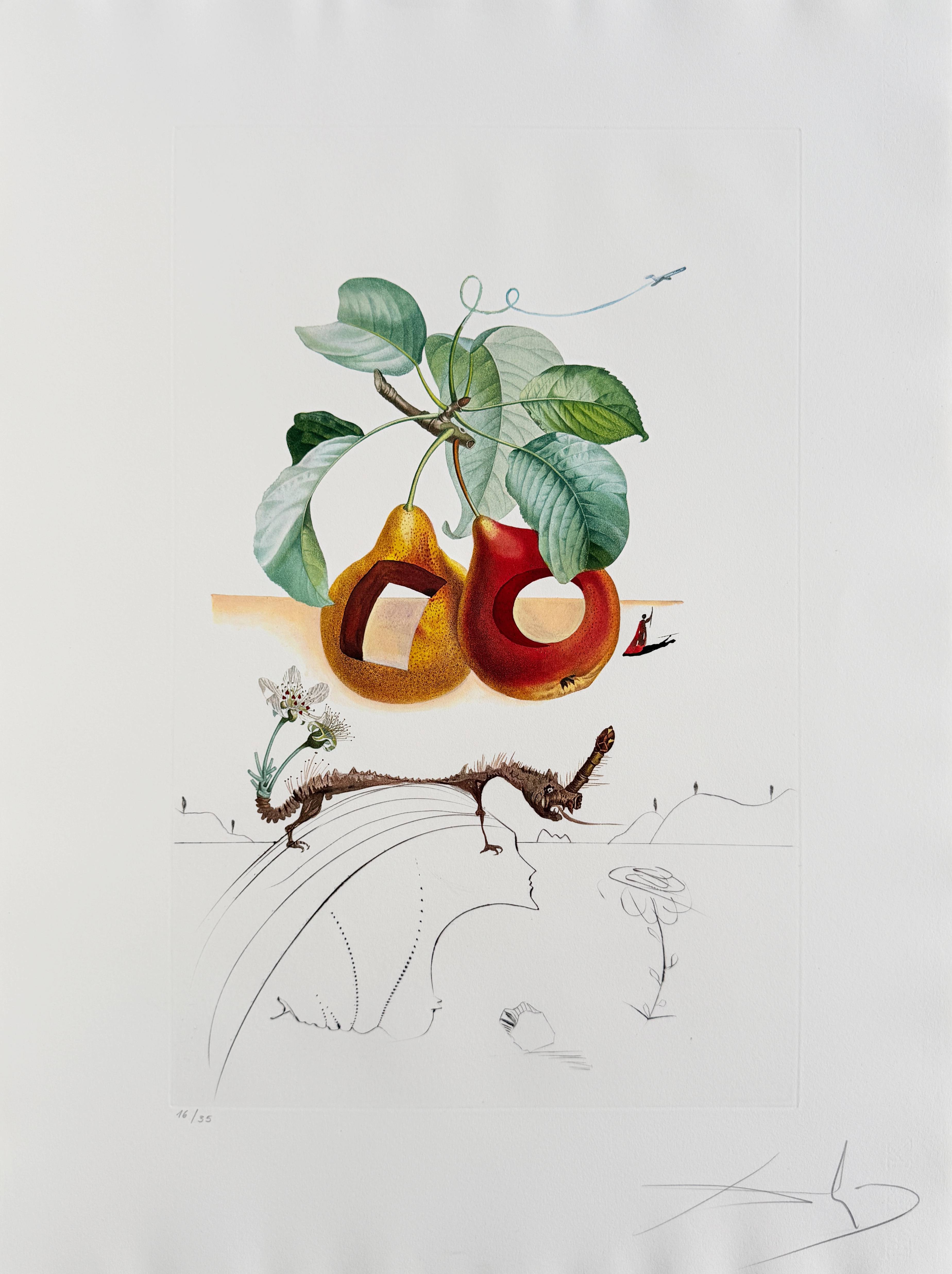 Salvador Dali - Holed Fruit from Flordali suite, 1969 1 Salvador Dali - Holed Fruit from Flordali suite, 1969