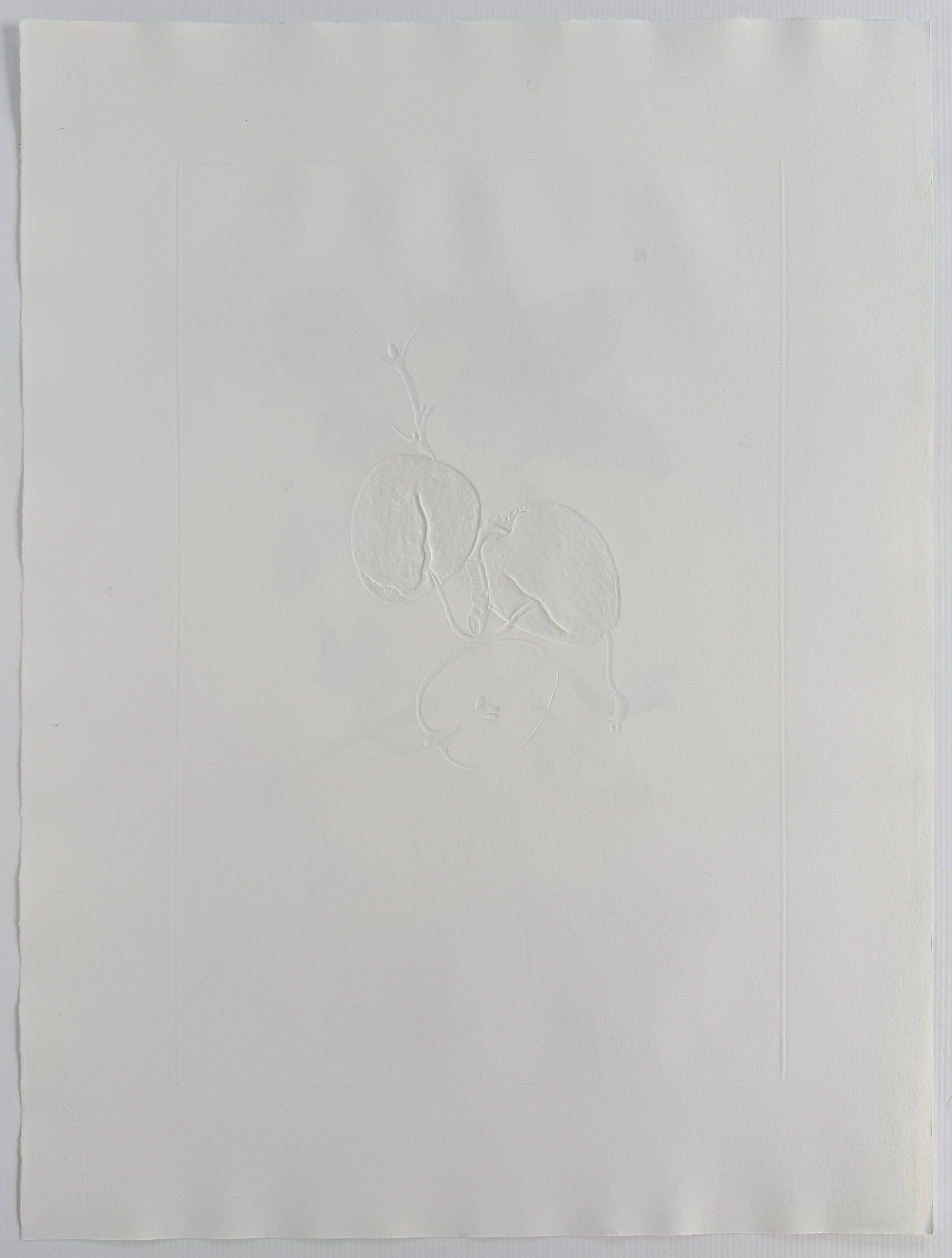 Salvador Dali - Dragon Apple from Flordali suite, 1969 2 Salvador Dali - Dragon Apple from Flordali suite, 1969 - Image 2