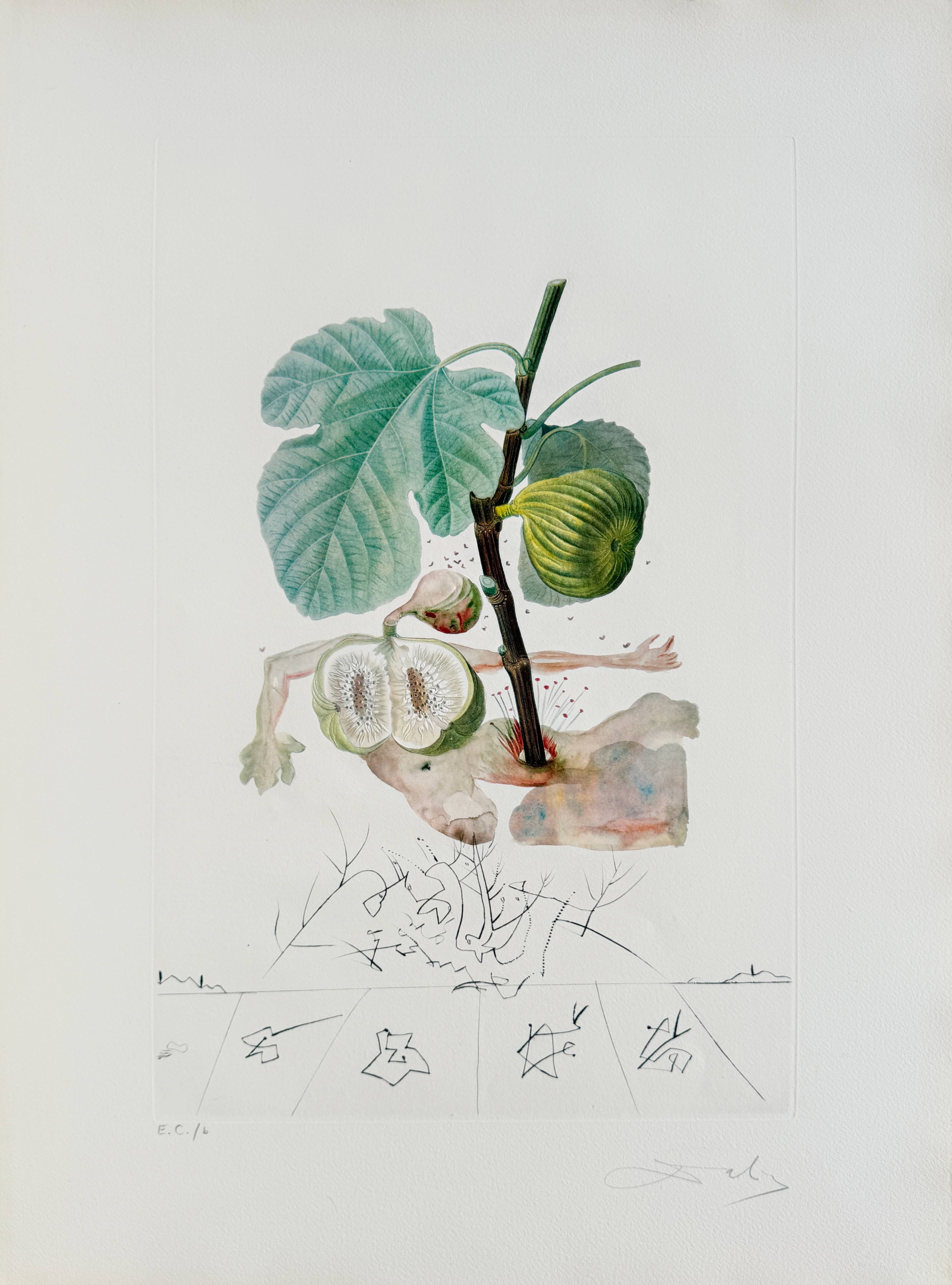 Salvador Dali - Homme figuier (Fig Man), 1969 1 Salvador Dali - Homme figuier (Fig Man), 1969