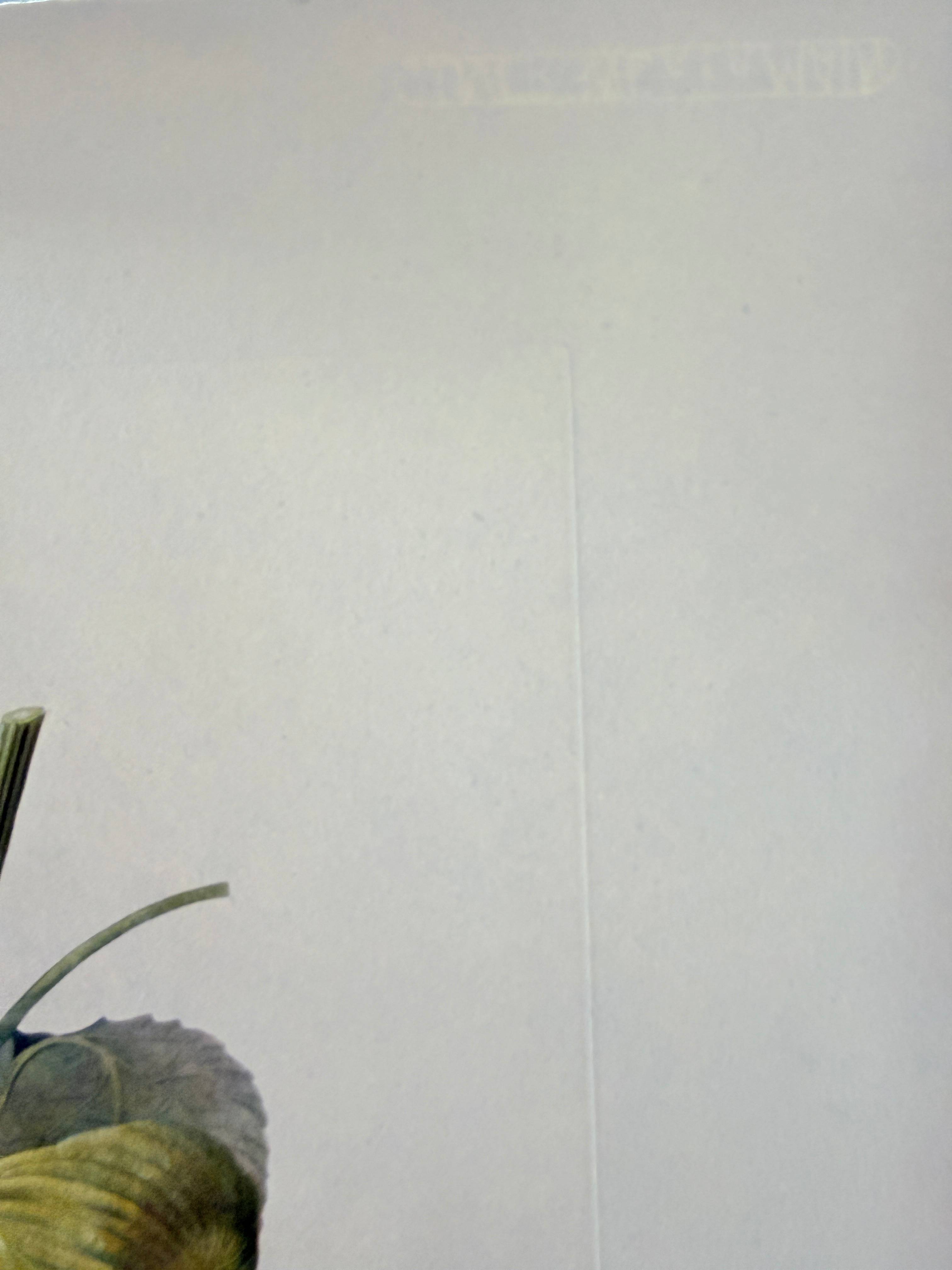 Salvador Dali - Homme figuier (Fig Man), 1969 2 Salvador Dali - Homme figuier (Fig Man), 1969 - Image 2