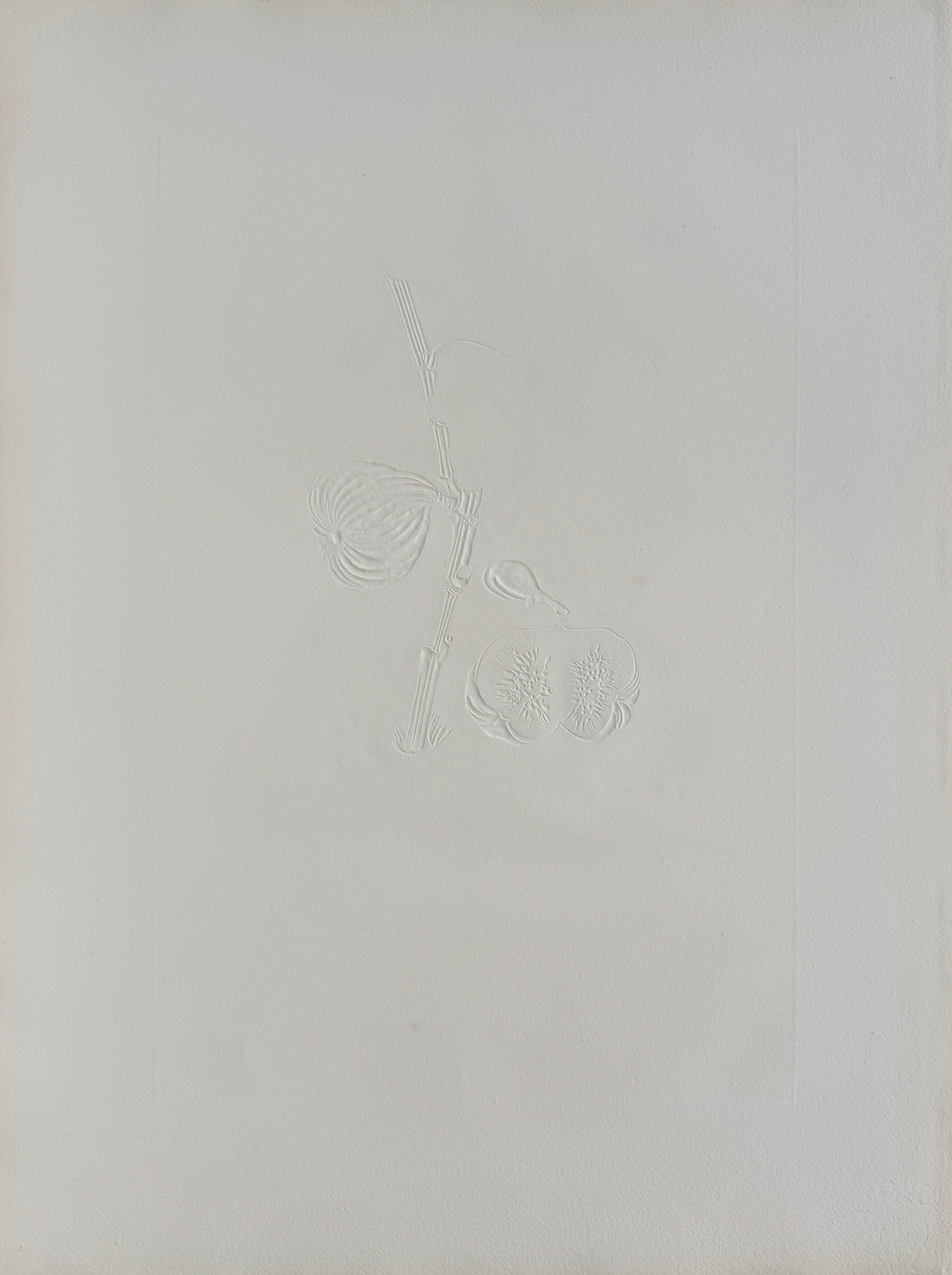 Salvador Dali - Homme figuier (Fig Man), 1969 5 Salvador Dali - Homme figuier (Fig Man), 1969 - Image 5