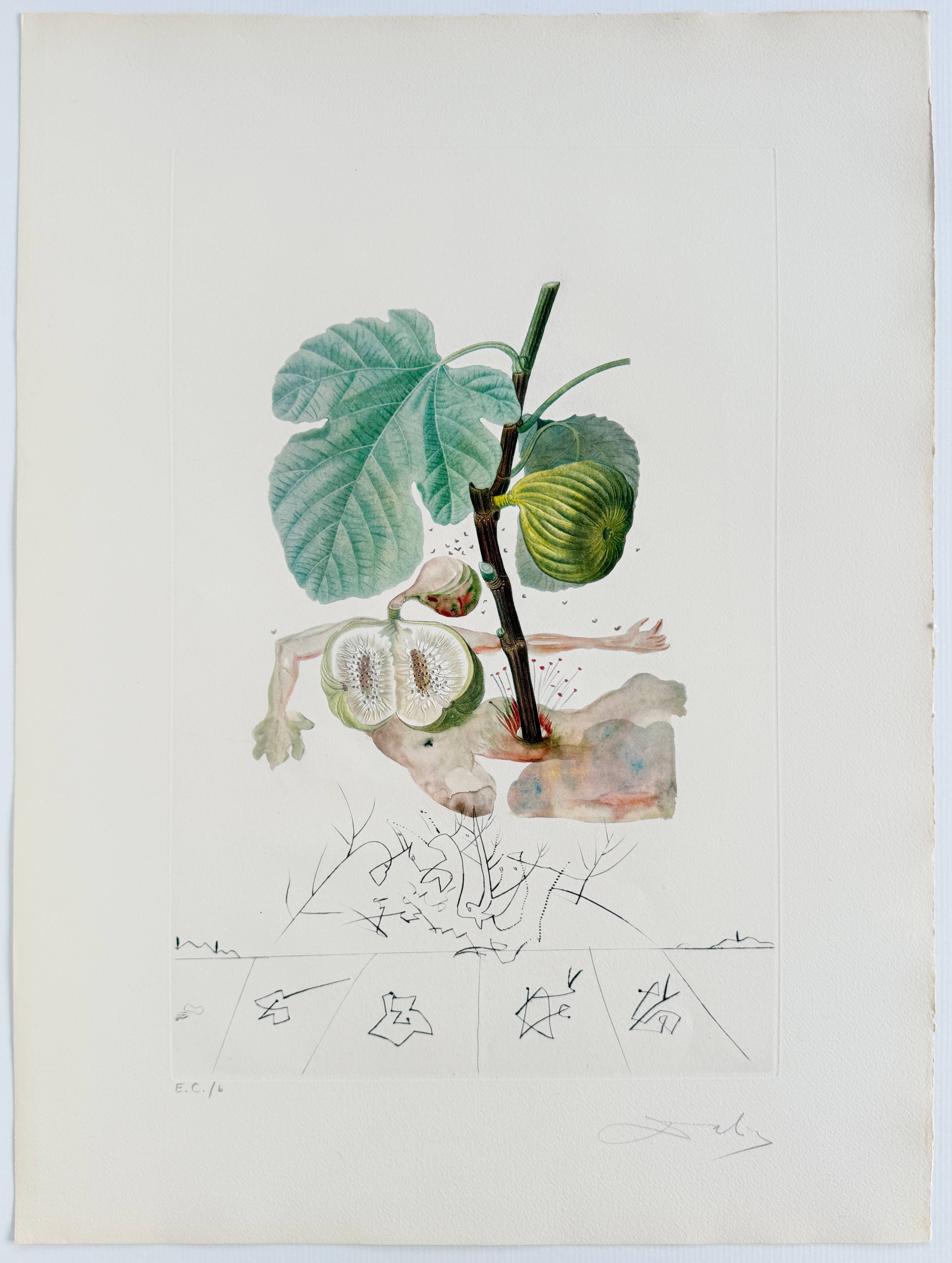 Salvador Dali - Homme figuier (Fig Man), 1969 4 Salvador Dali - Homme figuier (Fig Man), 1969 - Image 4