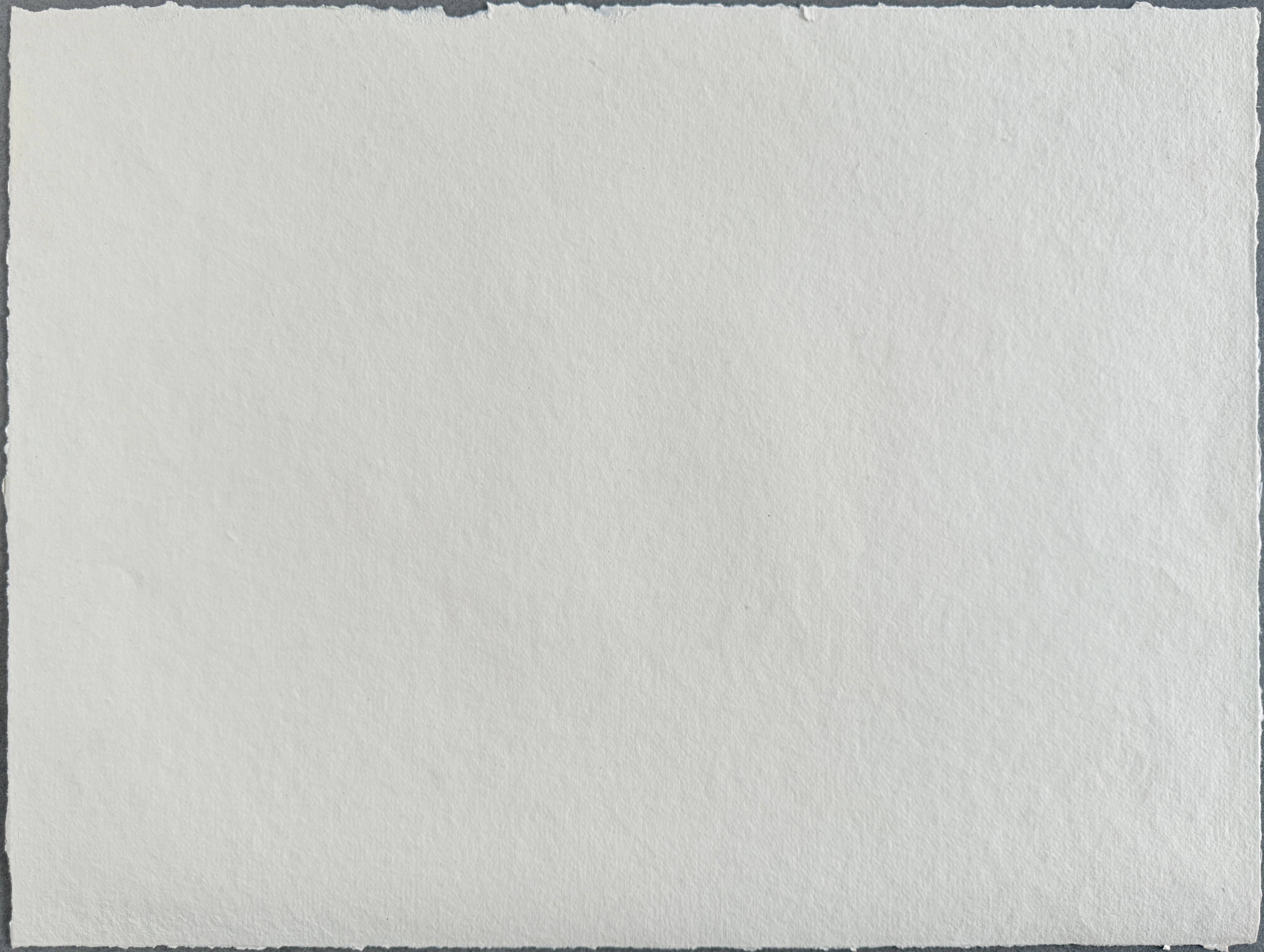 Pablo Picasso - Bacchanale, 1967 8 Pablo Picasso - Bacchanale, 1967 - Image 8