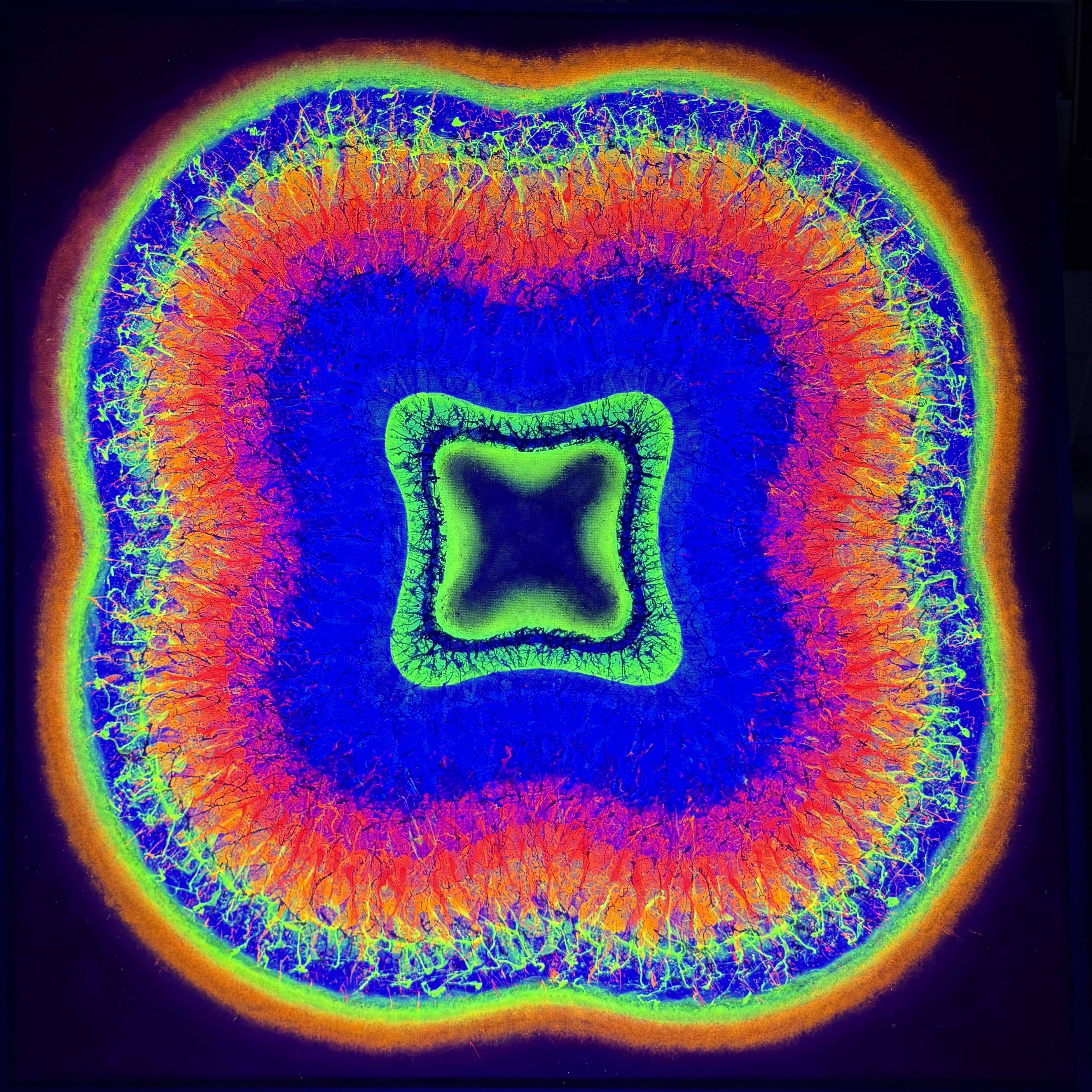 Jaremi Picz - Square Interference II 2 Jaremi Picz - Square Interference II - Image 2