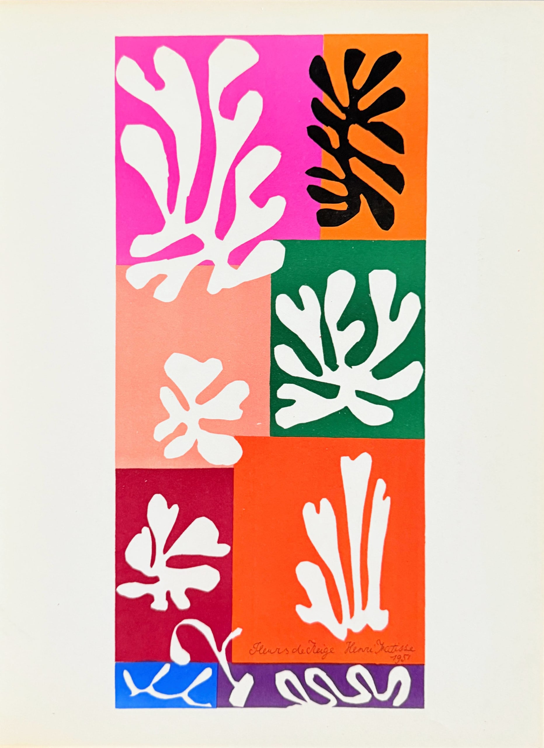Henri Matisse - Fleurs de Neige, 1958