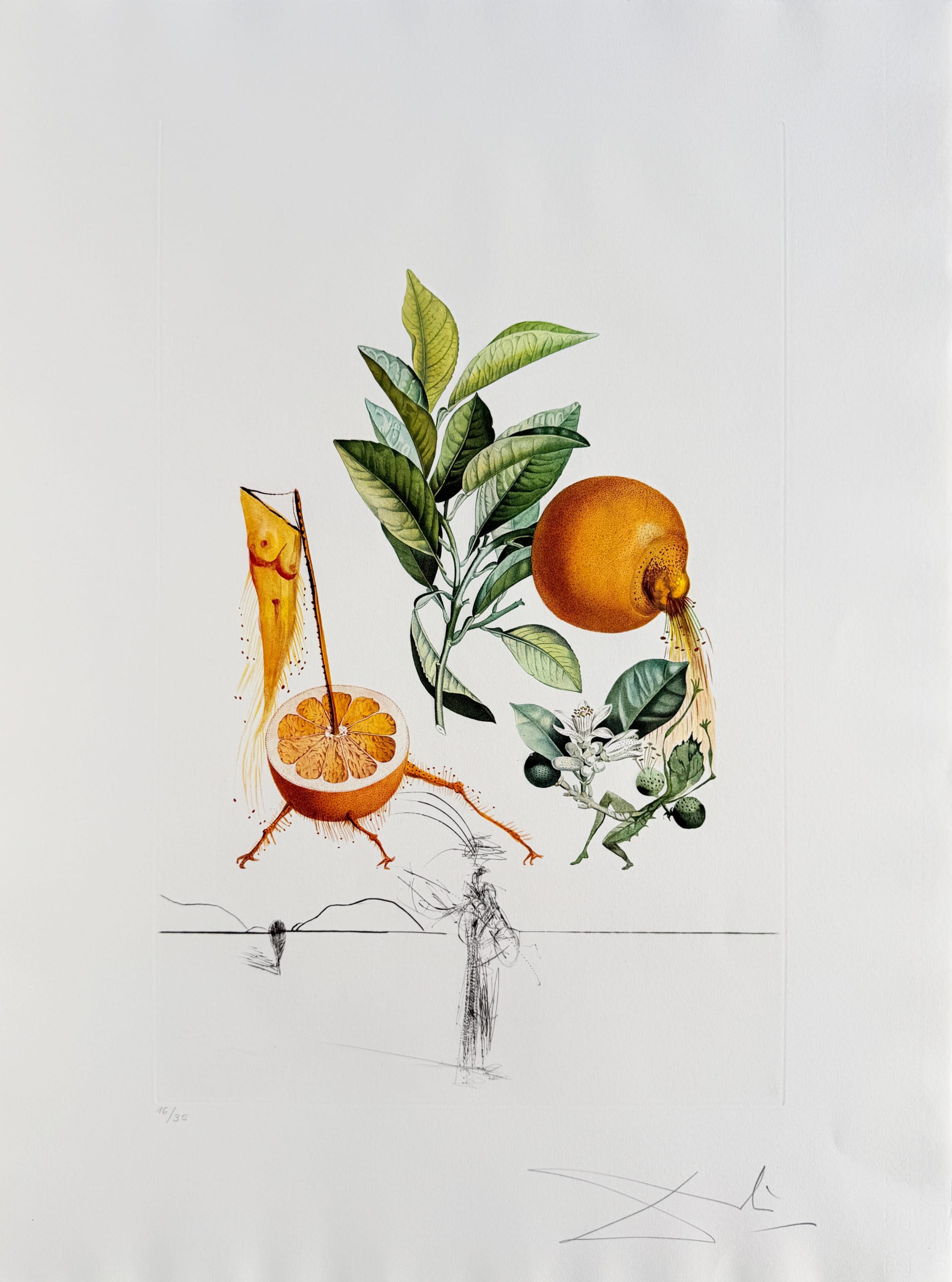 Salvador Dali - Pamplemousse érotique (Erotic Grapefruit), 1969 1 Salvador Dali - Pamplemousse érotique (Erotic Grapefruit), 1969