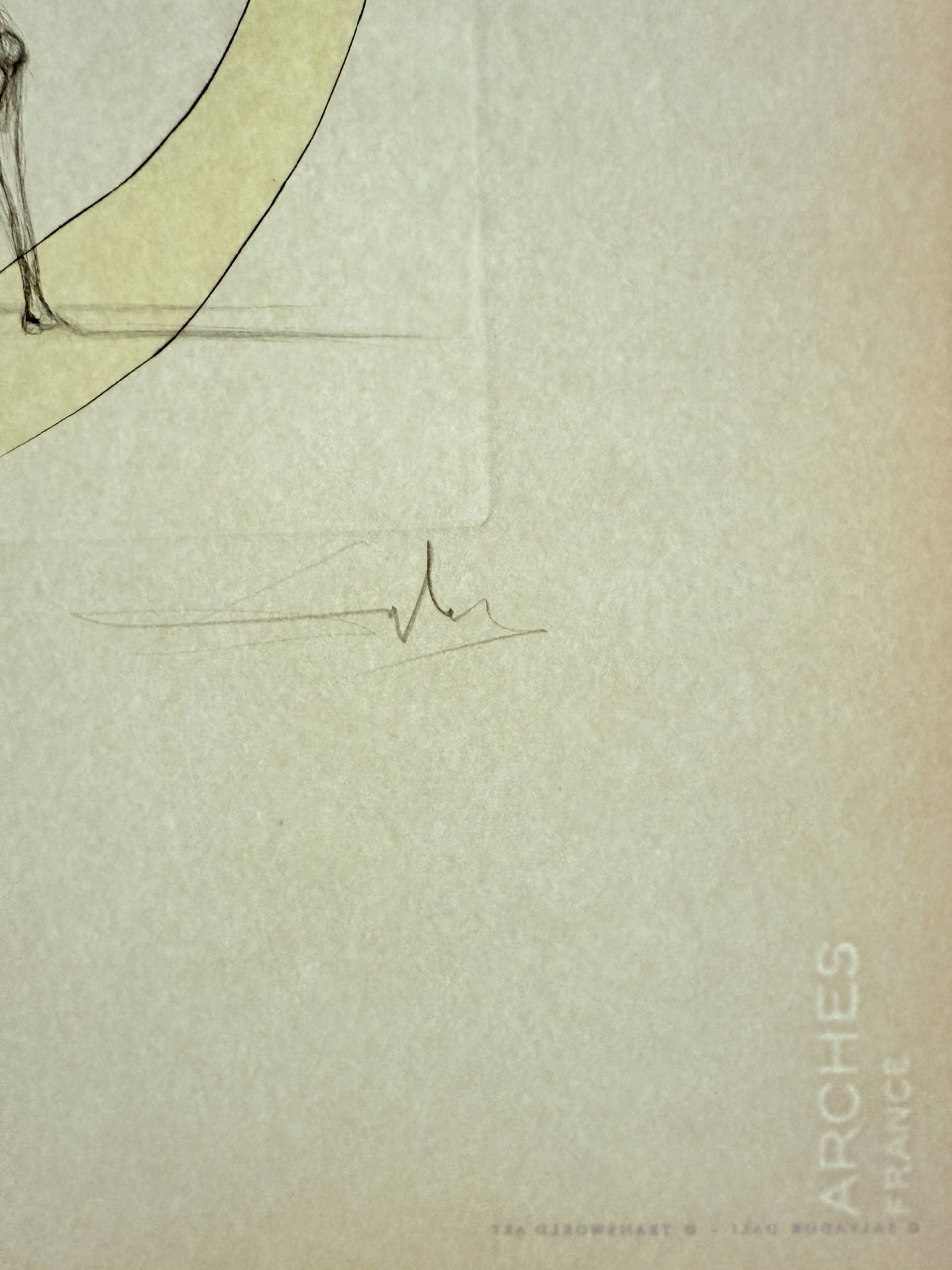 Salvador Dali - Picasso: A Ticket for Glory, 1973 - Image 8