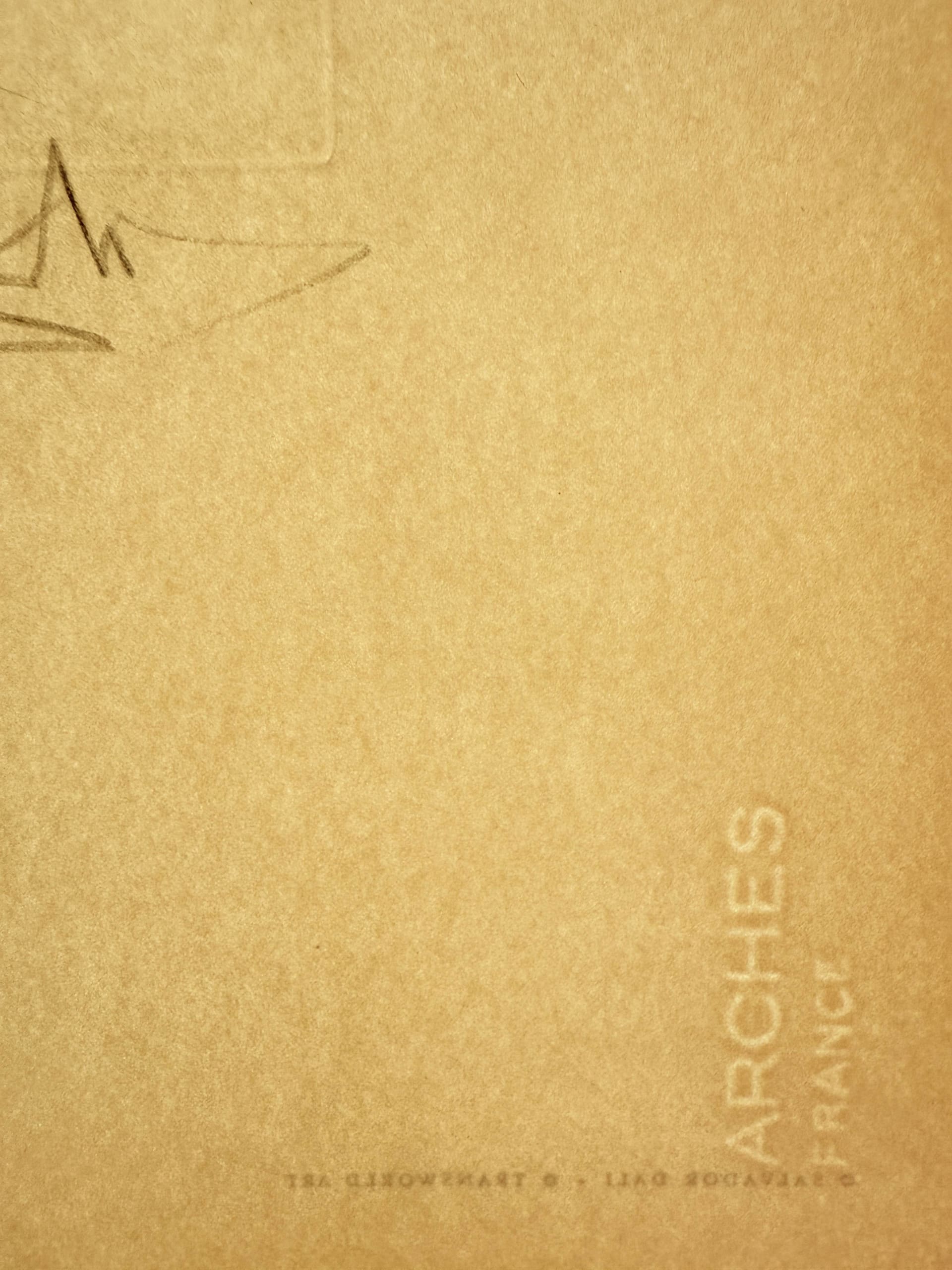 Salvador Dali - The Curse Overthrown, 1973 - Image 8