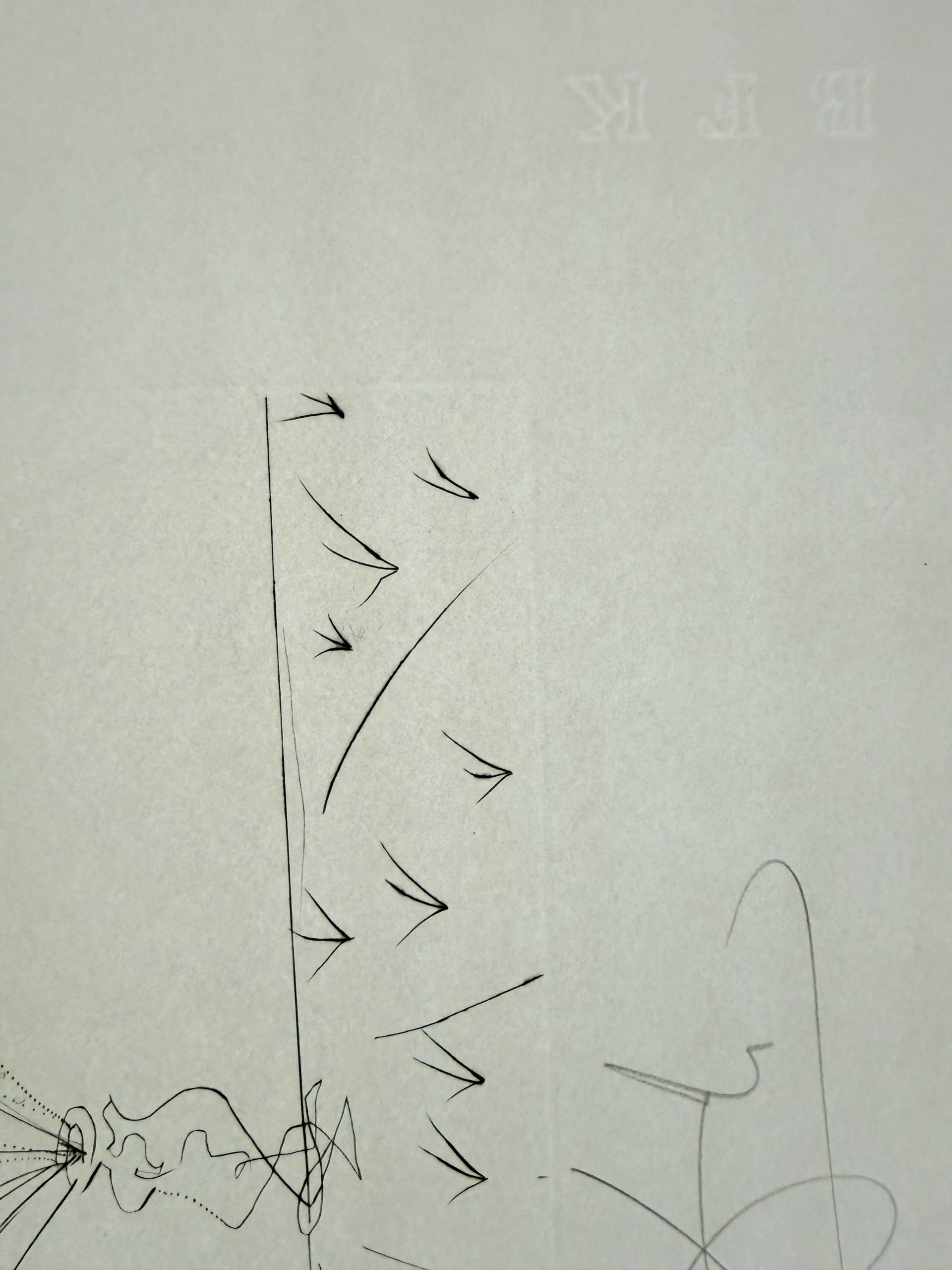 Salvador Dali - Framboisier (Raspberry Bush), 1969 5 Salvador Dali - Framboisier (Raspberry Bush), 1969 - Image 5