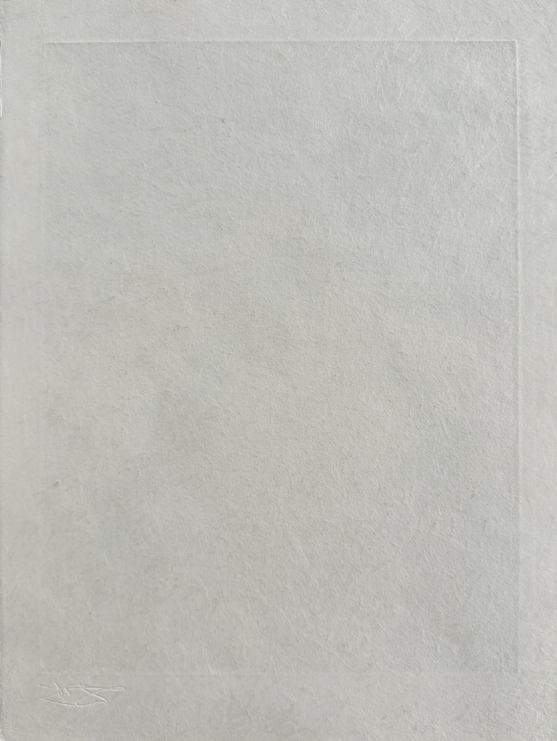 Salvador Dali - Femme au clown (Woman with Clown), 1969 - Image 7