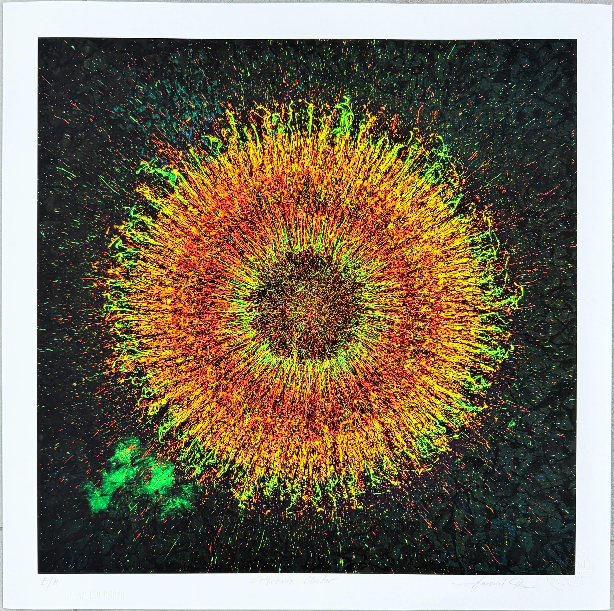 Jaremi Picz - Phoenix Cluster, 2025 - Image 6