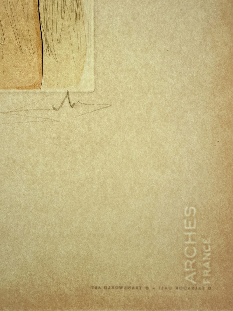 Salvador Dali - Gala's Castle, 1973 - Image 8