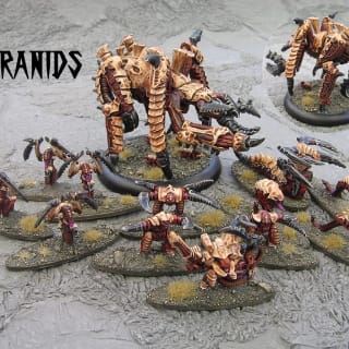 EpiComp 2011 Best Battleforce (Pictured: Tyranids - Onyx)