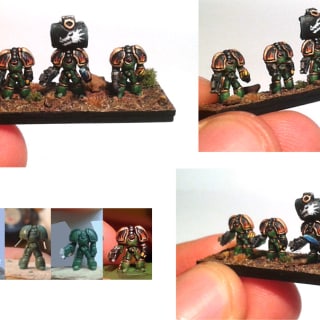EpiComp 2015 Best Single Model (Pictured: Salamanders Terminators - Apocolocyntosis)