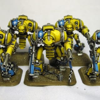 EpiComp 2014 Best Formation (Pictured: House Lakar Paladin Household - Dave)