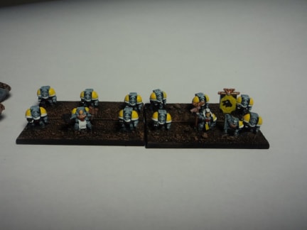 Space Wolves Terminators - crusher
