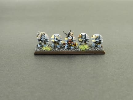 Njal Stormcaller - Dobbsy