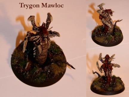 Trygon Mawloc - Fredmans