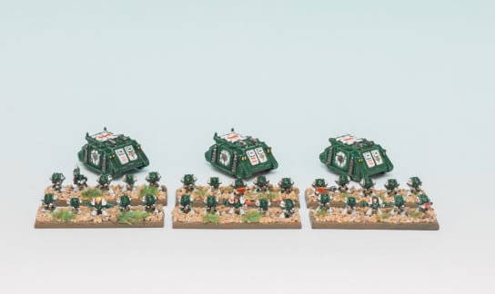 Mentor Legion Tactical Detachment - Damonx