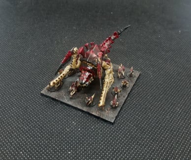 Barbed Hierodule - Baxter