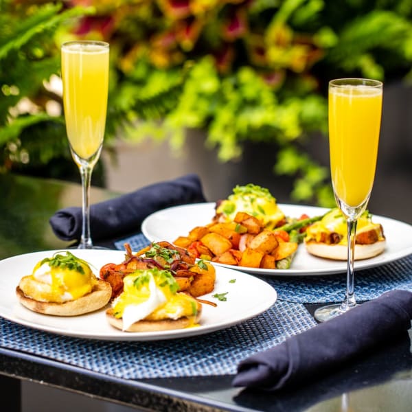 The Bubbly Brunch
