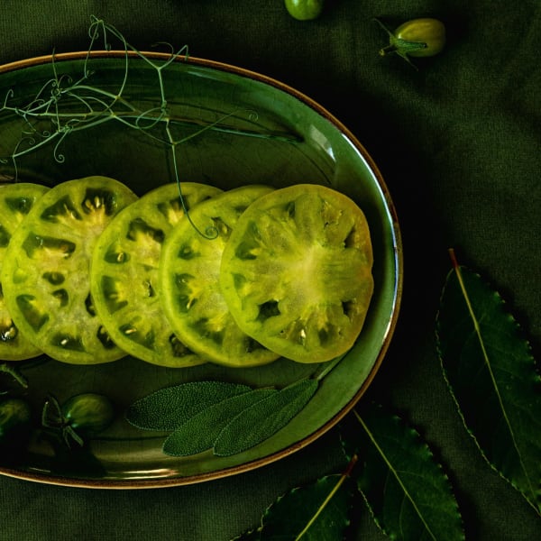 Elevated Plant-Based Dining