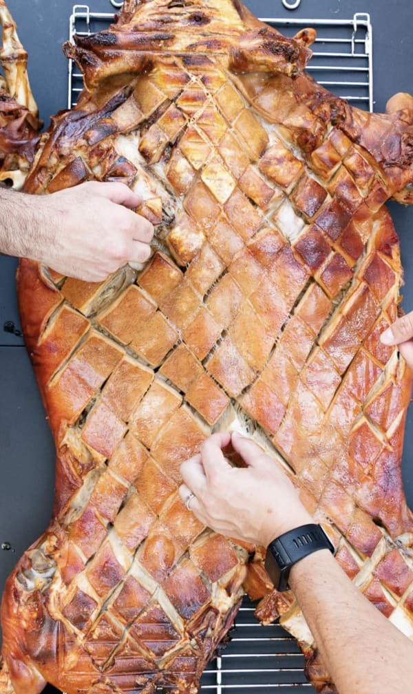 Whole Hog Pig Roast 