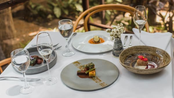 Chef's Table: Inspired Dining