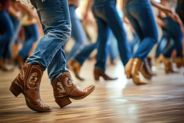 Living Room Line Dancing