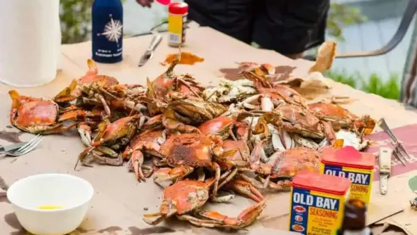 Taste of the Town- MD