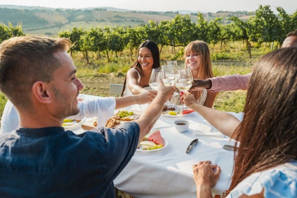 Wine Tour Essentials 