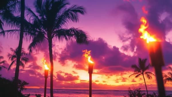 Hawaiian Holiday Luau