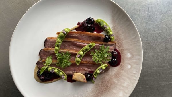 Seasonal Tasting Menu