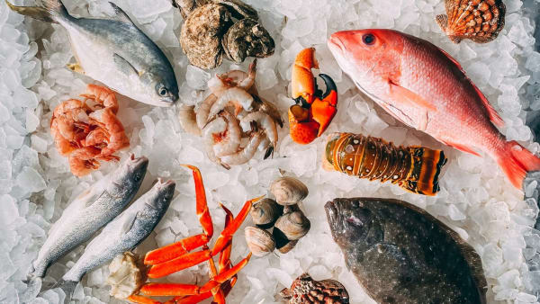 'Low Tide' Seafood Celebration