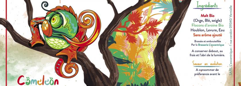 L'Excentrique à Verniolle Aperçu L'Excentrique à Verniolle